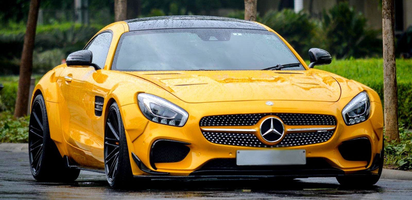 Mercedes_Benz_GTS_VPS-307_8e3e0a92.jpg